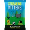 EXPLODING KITTENS : Ext STREKING KITTENS