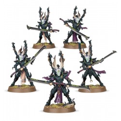 WARHAMMER 40000 : DRUKHARI INCUBI